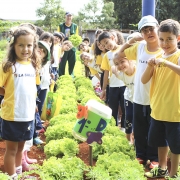 Estudantes colhem alface na fazendinha