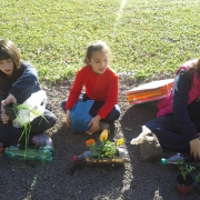 Estudantes dos 2ºs anos criam uma horta de temperos