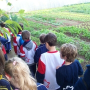 2º ano realiza turismo na Quinta da Estância