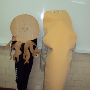 Gincana Invertebrados