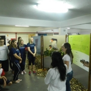 Visita a Mostra Bichos do Sul