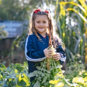  Plantar, Cuidar e Amar