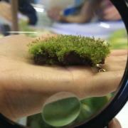 Aula Prática de Biologia