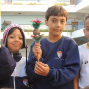 Arte indígena