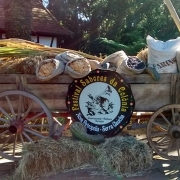  5° Ano realiza viagem de estudos 