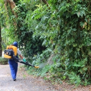 Todos no combate contra o Aedes Aegypti