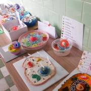 Exposição de Maquetes: A Célula