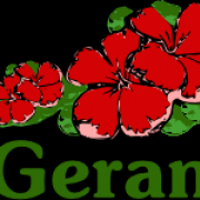 Sítio Geranium 