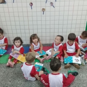 O Lobinho 