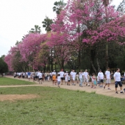 XXX La Salle Te Abraça - 1ª Caminhada Orientada