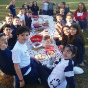 Piquenique temático no 3º ano do Ensino Fundamental