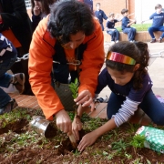 1º ano EF realiza ações de proteção ao meio ambiente