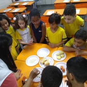 Alimentação e seus nutrientes