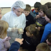 Dentista Alessandra Rech visita a Ed. Infantil