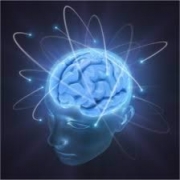Neurociência e Desenvolvimento da Aprendizagem