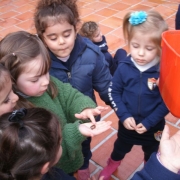 Turmas da Creche aprendem sobre as minhocas