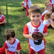 Feira do Verde