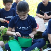 Atividade do 2º Ano do EF envolve plantio e fábula