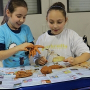 Filosofia e Literatura são destaques em sala de aula