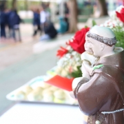 LSSA comemora o Dia de Santo Antônio