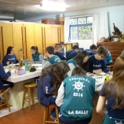 OBSERVAÇÃO DE PLANTAS ANGIOSPERMA