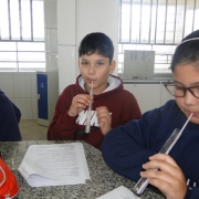 Sistema Respiratório 5ª Ano