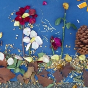 Alunos realizam trabalho sobre Frans Krajcberg