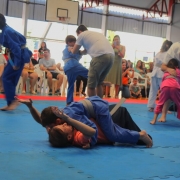 1º Festival de Artes Marciais