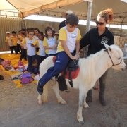 A Fazendinha