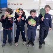 Dinâmica dos alimentos - Pré 1
