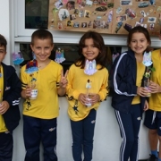 Atividade Seres Vivos - 1° ano