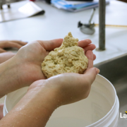 Experimento prático - Ensino Médio