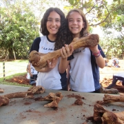 Saída de campo - Sítio Cajubaixo