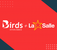 Rede La Salle firma parceria com a Birds Intercâmbio