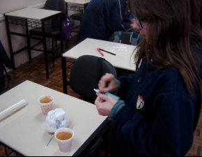 Fungos e Bactérias: Coletando Amostras