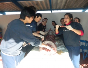 Preparativos Festa La Salle.