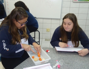 8º ano do EF realiza prática com o amido 