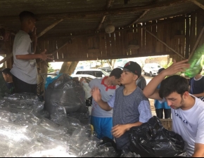 Confecção da árvore de Natal Sustentável 