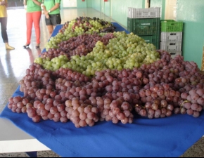 Primeiro Dia de Aula