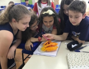 5º ANO, TURMA 151 – APRENDIZAGEM SIGNIFICATIVA E PRAZEROSA