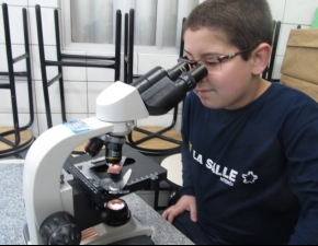 132 Vertebrados e invertebrados 