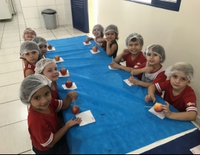 A Maçã do Amor de Chocolate - Educação Infantil