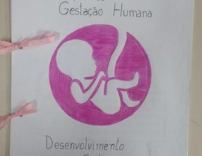 AS ETAPAS DA GESTAÇÃO