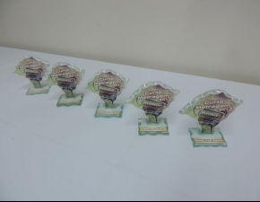 Curtas Metragens 2013: E o Oscar vai para...