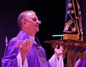 Galeria Dia ANEC 2026