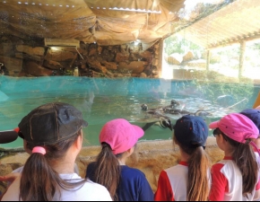 Passeio no GramadoZoo