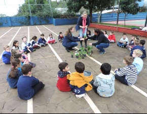 Pré 2 planta horta de temperos