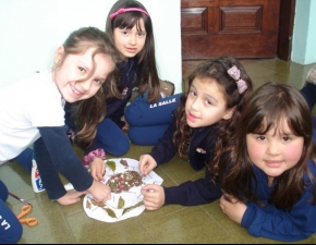 Formação e Reflexão com a Parábola do Semeador