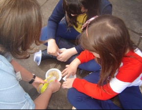 Os Cabeças-de-Alpiste