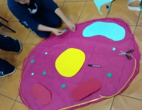 CÉLULAS
